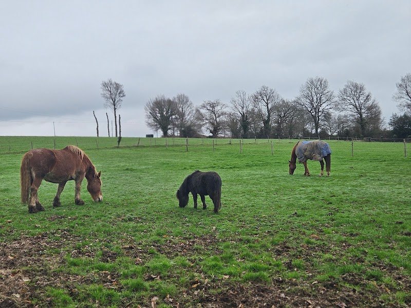 Écurie Ker Laëti - photo 2