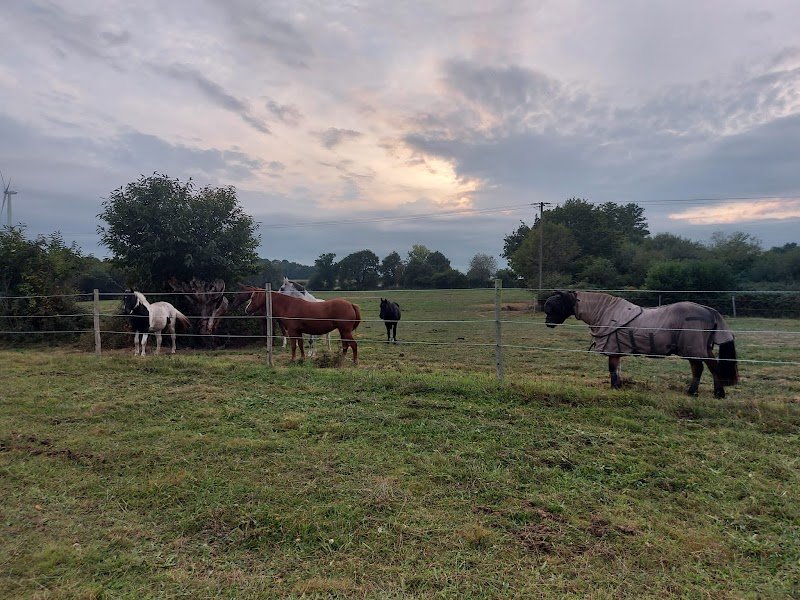 Écuries Du Petit Manoir - photo 2