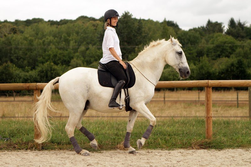 Les Écuries de Connivence