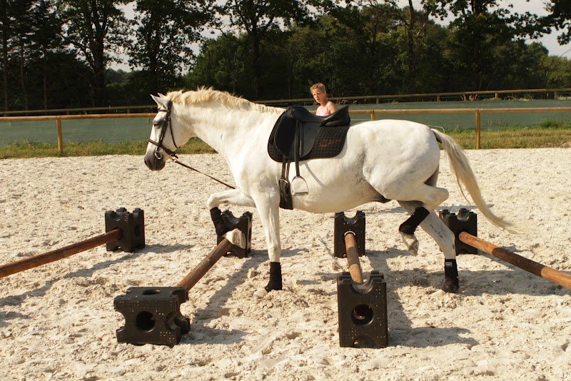 Les Écuries de Connivence - photo 2
