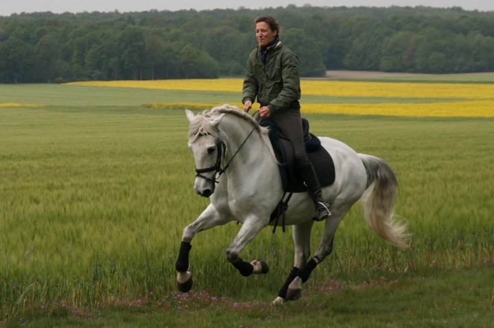 Les Écuries de Connivence - photo 3