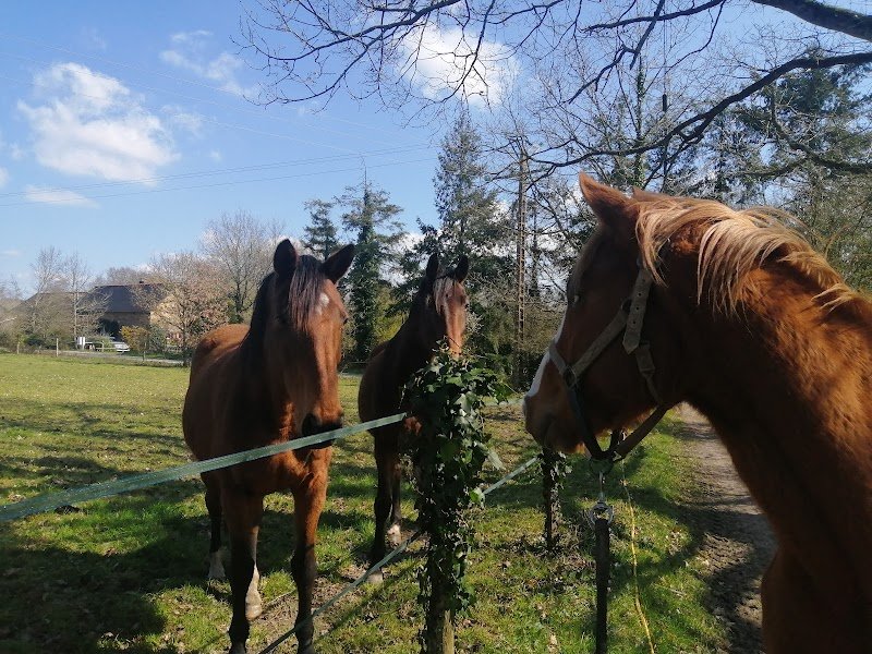 Ecuries du Gâvre - photo 3