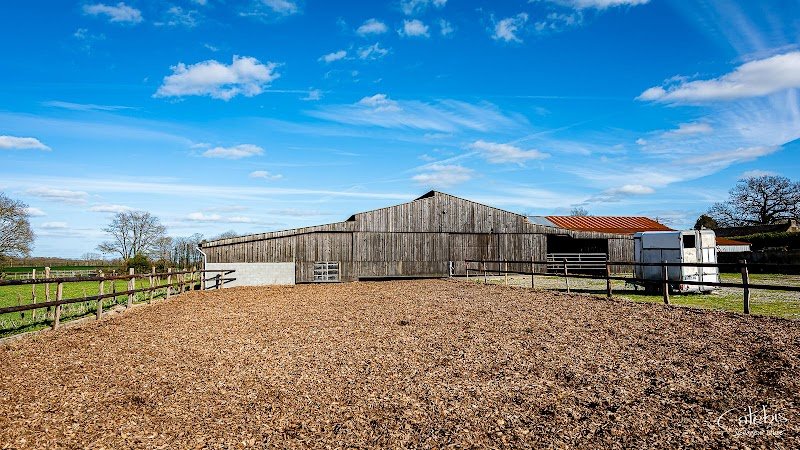Haras et élevage de la Gentilhommerie - photo 3