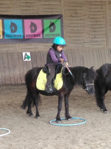 Écuries des Maffrais - photo 1