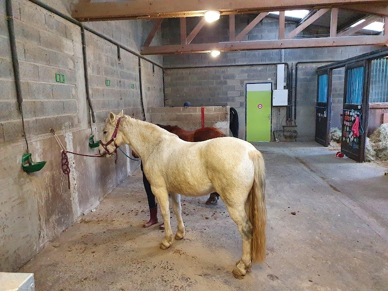 Écuries des Maffrais - photo 2