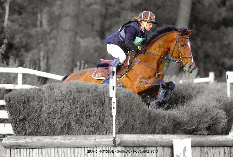 Écurie Houssais - photo 1