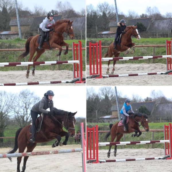 Ecuries du Bois Beau - photo 2