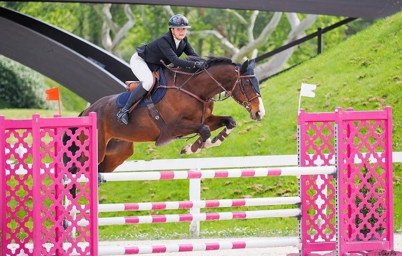 Ecuries du Bois Beau - photo 3