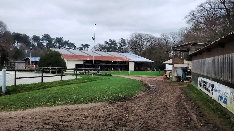 Centre Equestre de Mi- Forêt - photo 1