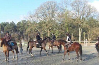 Centre Equestre de Mi- Forêt - photo 3