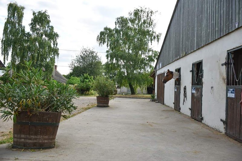 Écurie Faucheux centre équestre de l'hermitière - photo 2