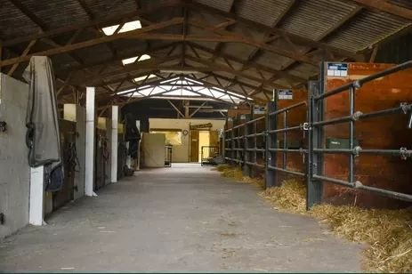 Écurie Faucheux centre équestre de l'hermitière - photo 3
