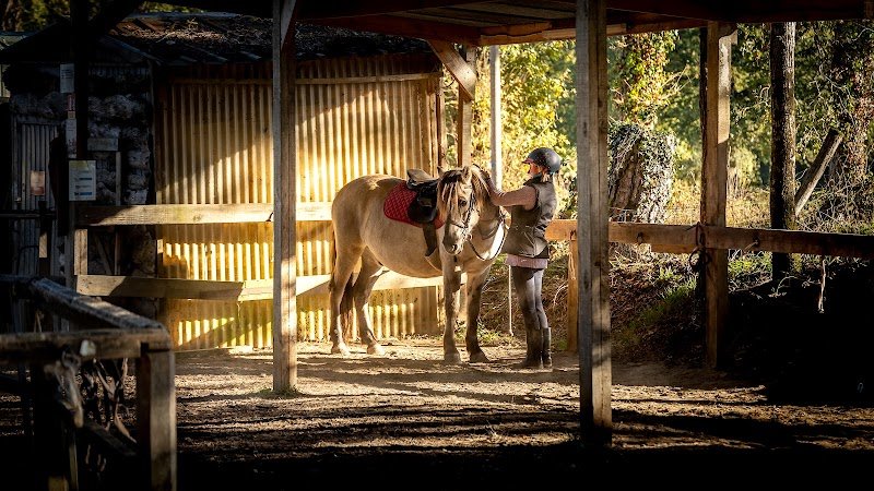 Centre équestre Les Mille Fossés
