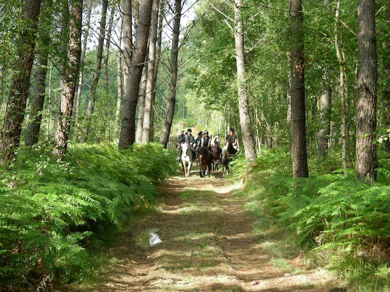 Espace équestre du Val Khyri - photo 3