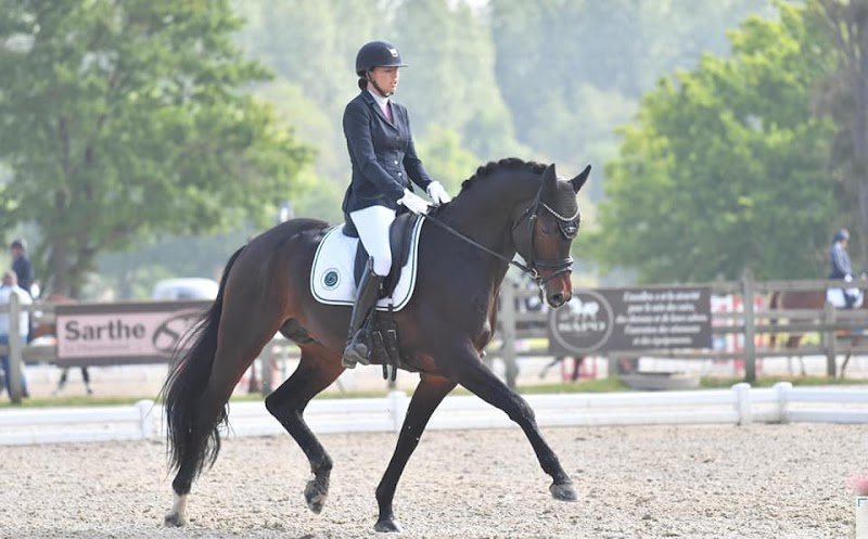 Ecuries des quatre routes - photo 2