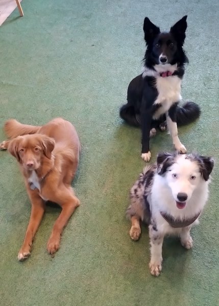 pension HAPPY PATOUNES