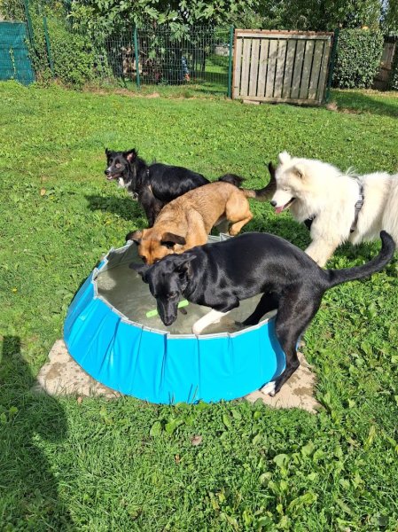 pension HAPPY PATOUNES - photo 2