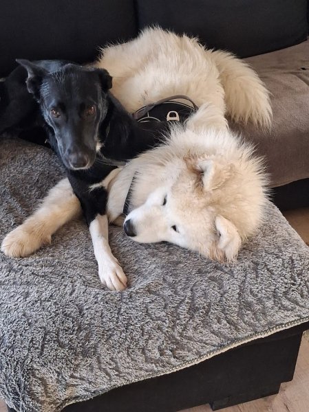 pension HAPPY PATOUNES - photo 3