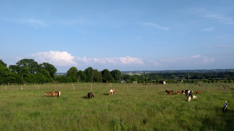 Ecuries de la Mancelière Les - photo 1