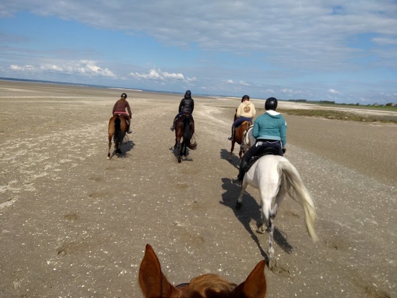 Ecuries de la Mancelière Les - photo 3