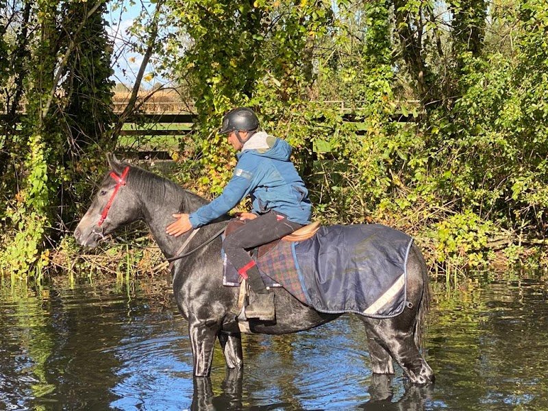Ecurie Desprez - photo 2