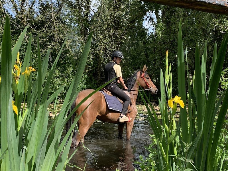 Ecurie Desprez - photo 3