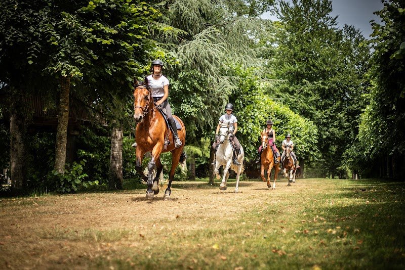 Centre équestre des Ormes - photo 1