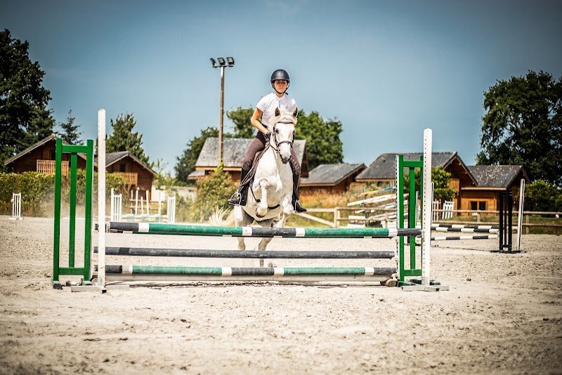 Centre équestre des Ormes - photo 2