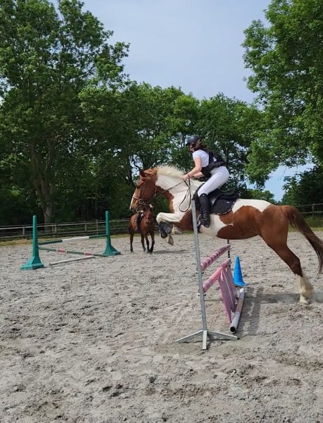 Centre Equestre Bretagne Cancale : Les Douets Fleuris - photo 3
