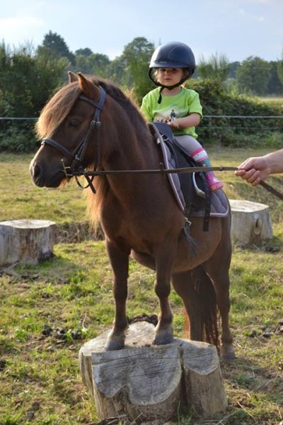 Ecuries de la Liotais - photo 2