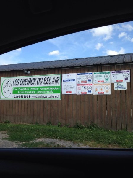Les Chevaux Du Bel Air - photo 3