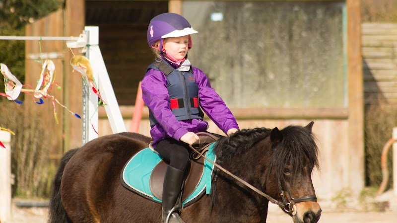 Les Ecuries Du Cormier - photo 2