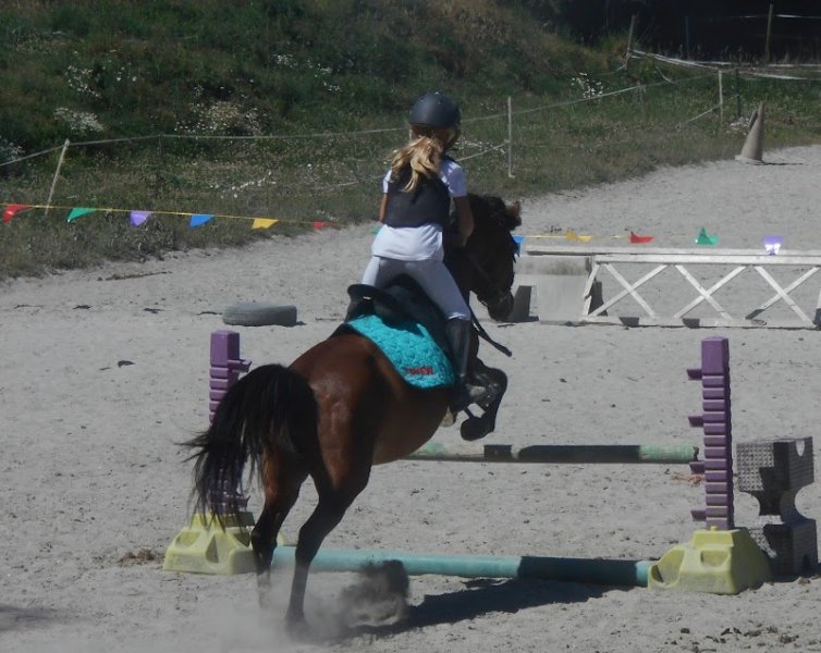 Les Ecuries Du Cormier - photo 3