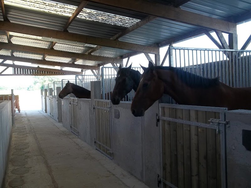 Ecuries Le Bois Gerard - photo 1