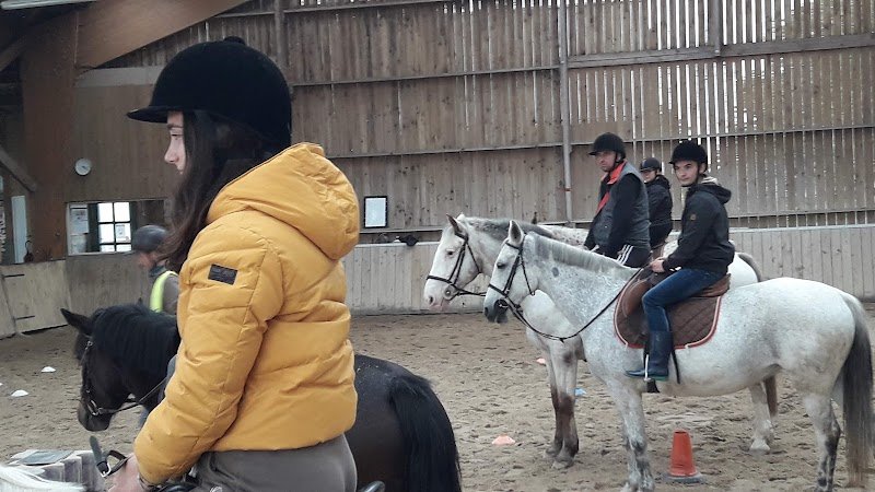 Ecuries Le Bois Gerard - photo 3