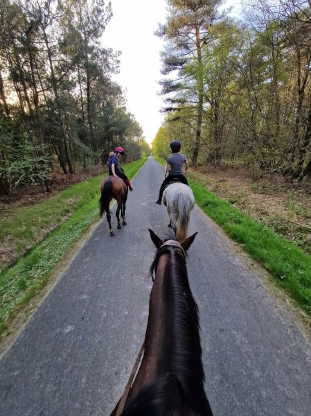 Ecurie du Marais - photo 1