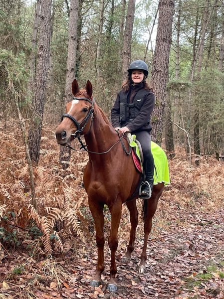 Ecurie du Marais - photo 2