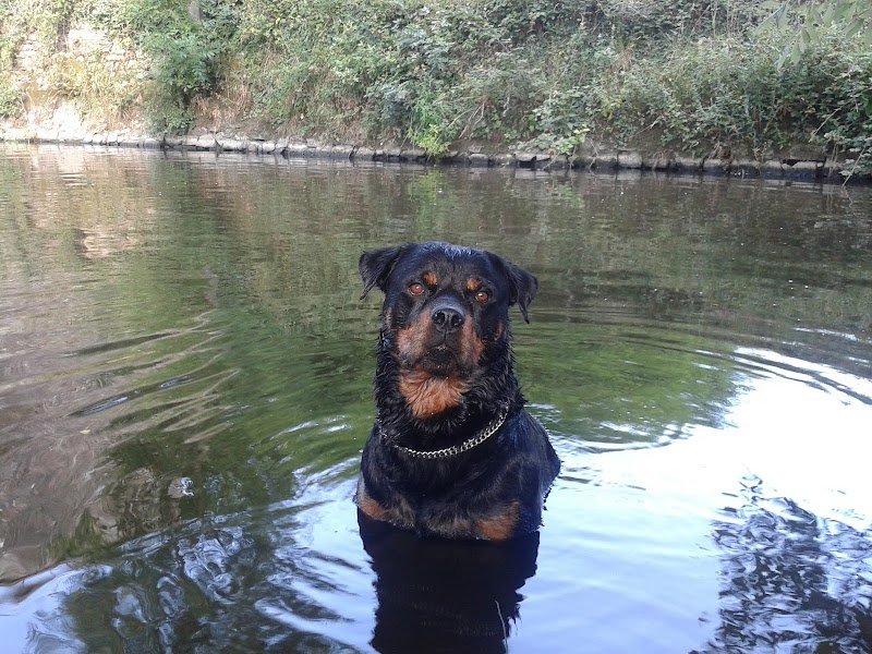 Pension des Trois Frênes