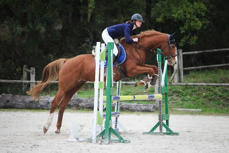 Les écuries du mesnil - photo 1