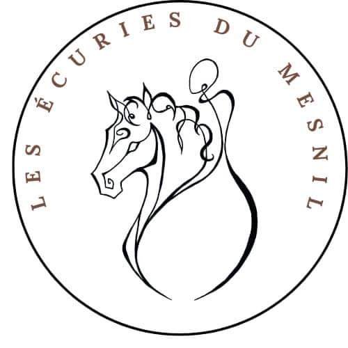 Les écuries du mesnil - photo 3