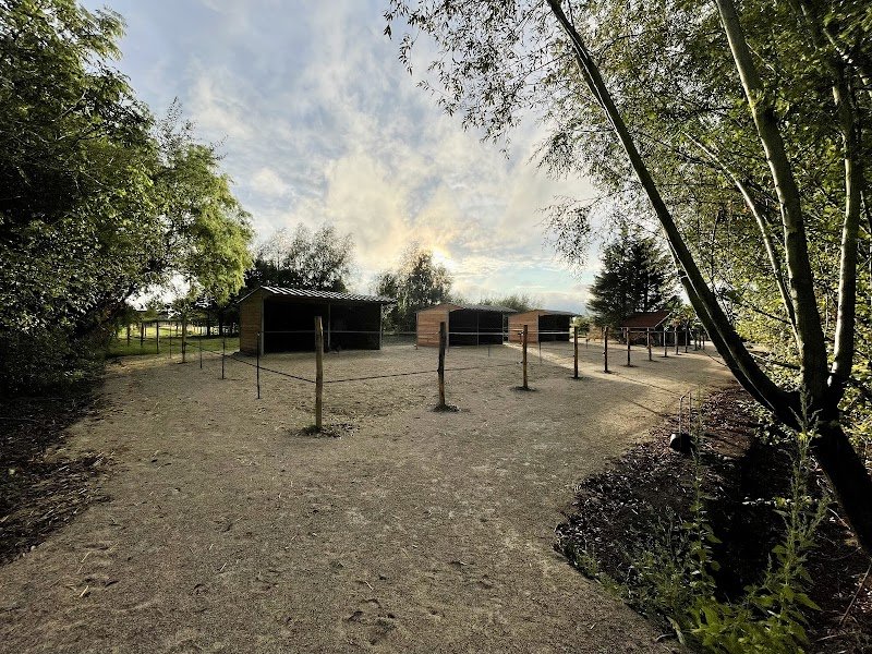 LCI CHEVAL - photo 3