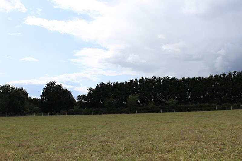 Écurie Equi-Altruisme - photo 2