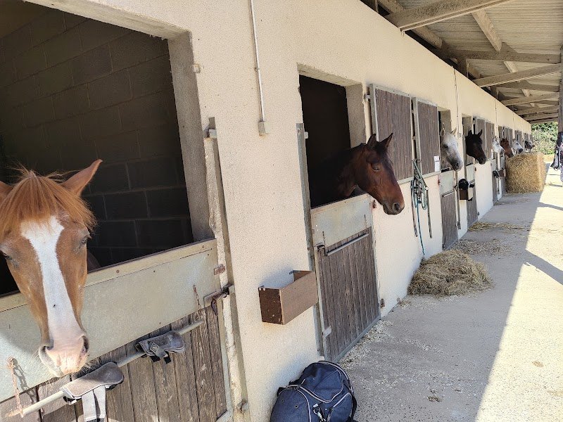 André Sport Équestre - photo 1