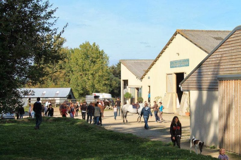 André Sport Équestre - photo 2