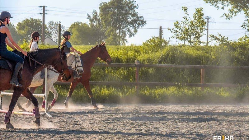 Cintrequestre - Centre Équestre à Cintré - photo 1