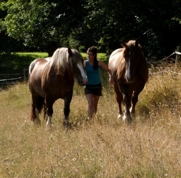 Ferme équestre d'Inaubois