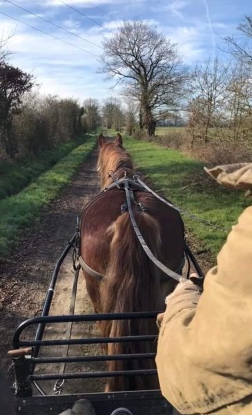 Ferme équestre d'Inaubois - photo 2