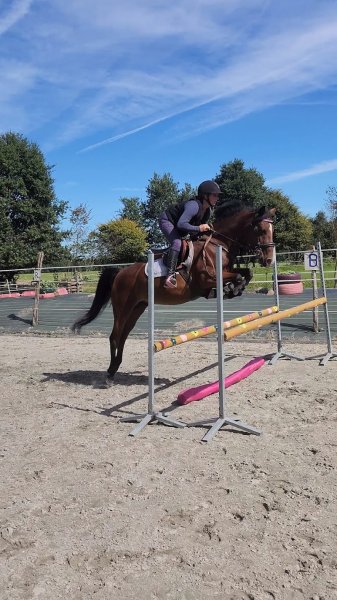 Les Écuries d'Âgée - photo 2