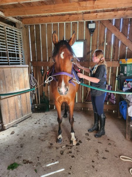 Les Écuries d'Âgée - photo 3