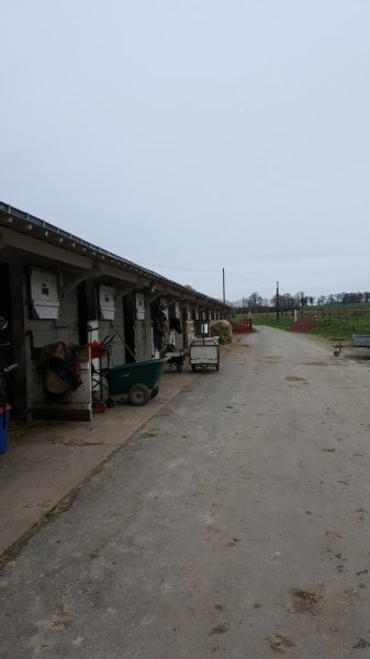 Haras du Val d'Or - photo 3
